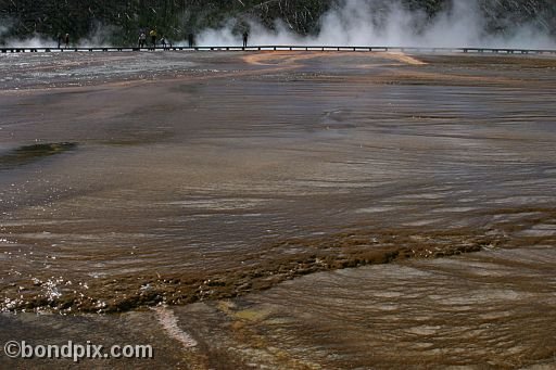 Some of the natural features of Yellowstone Park