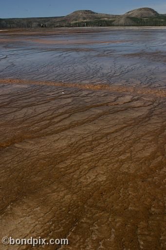 Some of the natural features of Yellowstone Park