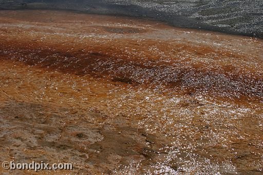 Some of the natural features of Yellowstone Park