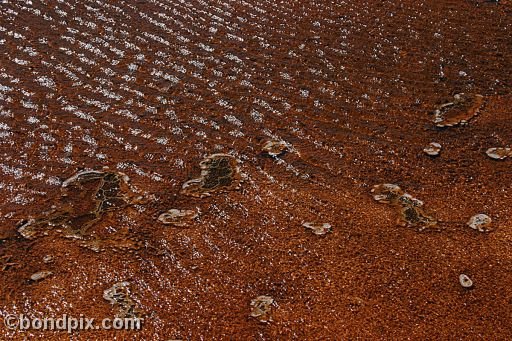 Some of the natural features of Yellowstone Park