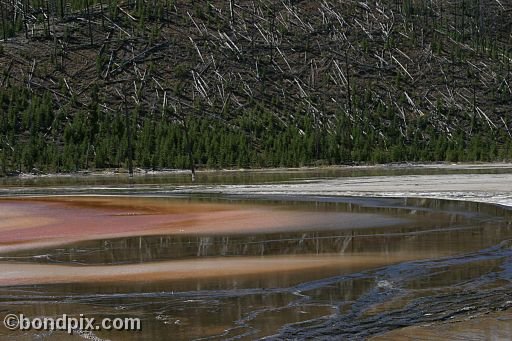 Some of the natural features of Yellowstone Park