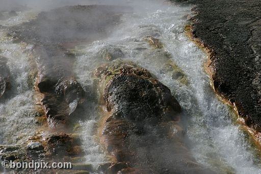 Some of the natural features of Yellowstone Park