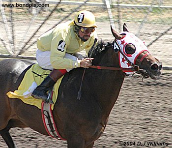 Winning Jockey David Deforest Brown on KR Montana Shake Em