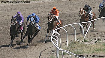 Racehorses Rocknriverman, Deadly Talons and Kentucky Ridge