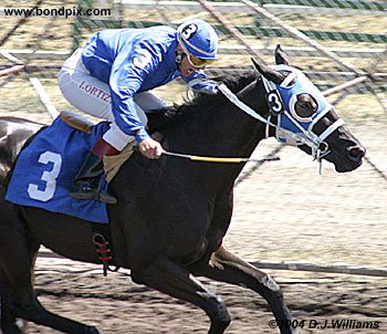 Rocknriverman, riden by jockey Ivan Ortiz Jr wins first place