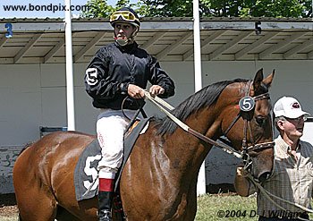 Jockey Ivan Ortiz Jr on Just Joe Bridled