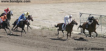 Just Joe Bridled takes the early lead over Plum Puzzled