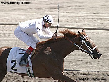 Plum Puzzled wins with Roger Butterfly in the saddle