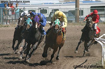Horse Racing around the final bend