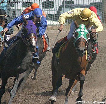 Jockey Ivan Ortiz Jr rounds the bend ahead of Roger Butterfly