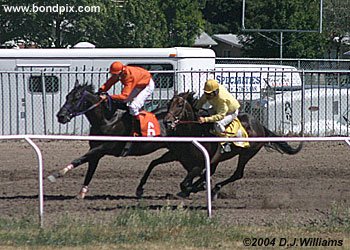 Captain Aluppa with B.J.Connelly on board, leads Paddy Swazzie with jockey Carl Hebert