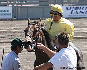 Carl Herbert wins on Paddy Swazzie