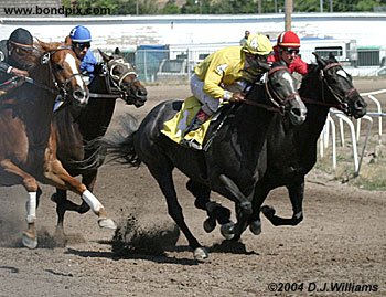 Shirley Patch, riden by Dan Karr, pulls away from Troublesomeaffair ridden by Russell Kingrey