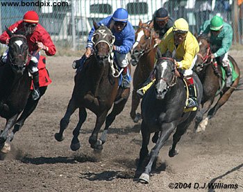 Jockeys Shaunda Larsen, David Brown, Dan Karr, Russell Kingrey and Carl Hebert race around the final corner