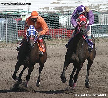 Under Desert Skies is behind Shirley Patch, Troublesomeaffair and C C Sky Dancer