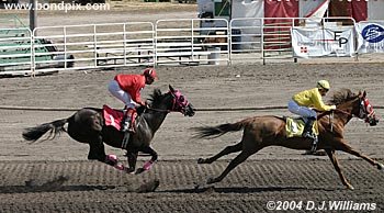 Jockey Russell Kingrey leads Roger Butterfly