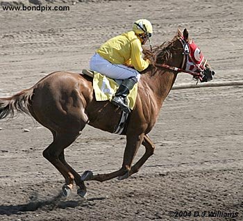 Winning horse Desert Launch, riden by jockey Russell Kingrey