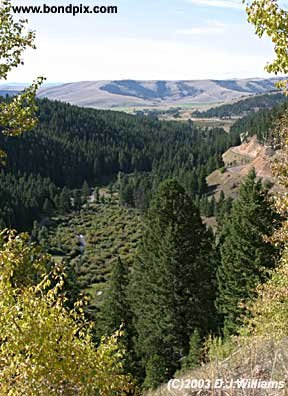 Valley image