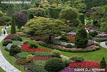 butchart gardens