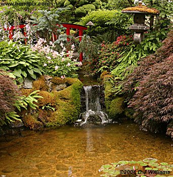 japanese garden in butchart gardens